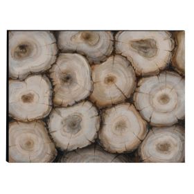 Captivating Tree Trunk Wooden Wall Art Decor, Multicolor