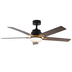 52 Inch Downrod Ceiling Fans with Lights and Remote Control, Modern Outdoor Indoor Black 5 Blades LED Lights Smart Ceiling Fans for Bedroom