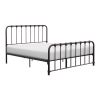 Metal Bed Dark Bronze Finish Queen Platform Bed 1pc, Bed in a Box